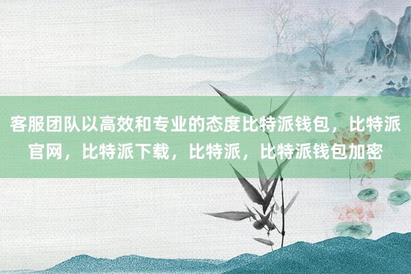 客服团队以高效和专业的态度比特派钱包，比特派官网，比特派下载，比特派，比特派钱包加密