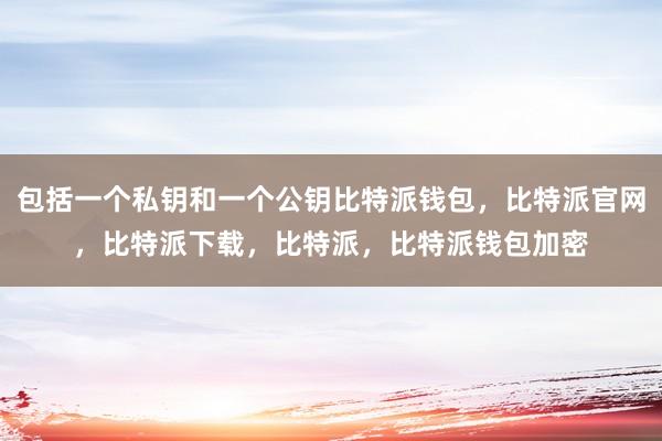 包括一个私钥和一个公钥比特派钱包，比特派官网，比特派下载，比特派，比特派钱包加密