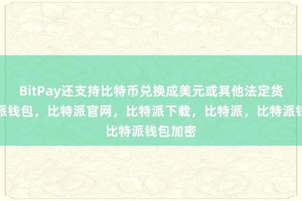 BitPay还支持比特币兑换成美元或其他法定货币比特派钱包，比特派官网，比特派下载，比特派，比特派钱包加密