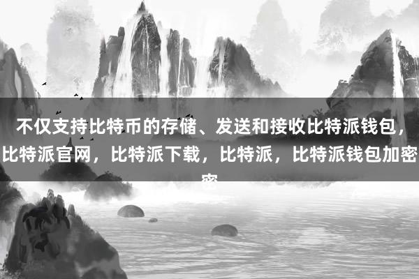 不仅支持比特币的存储、发送和接收比特派钱包，比特派官网，比特派下载，比特派，比特派钱包加密