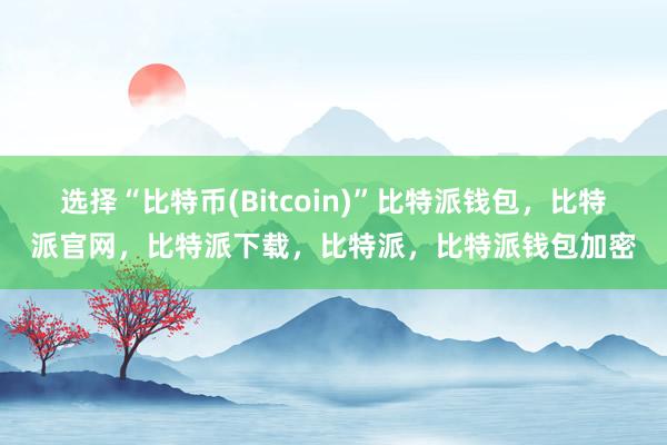 选择“比特币(Bitcoin)”比特派钱包，比特派官网，比特派下载，比特派，比特派钱包加密