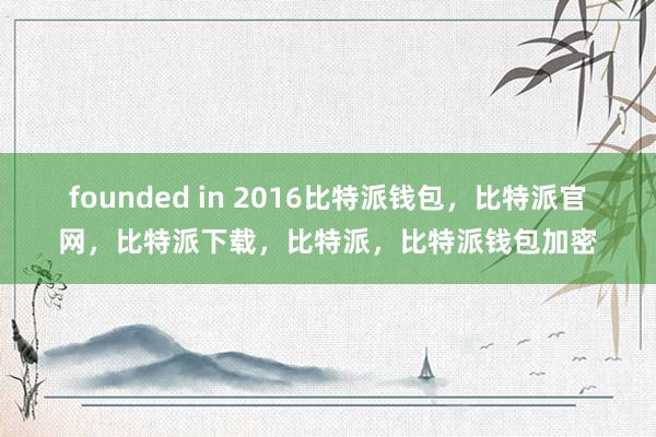 founded in 2016比特派钱包，比特派官网，比特派下载，比特派，比特派钱包加密