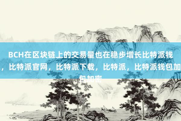 BCH在区块链上的交易量也在稳步增长比特派钱包，比特派官网，比特派下载，比特派，比特派钱包加密