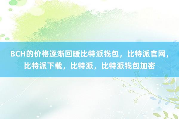 BCH的价格逐渐回暖比特派钱包，比特派官网，比特派下载，比特派，比特派钱包加密