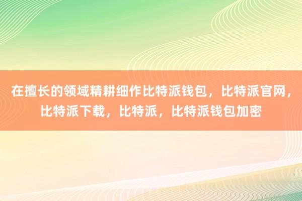 在擅长的领域精耕细作比特派钱包，比特派官网，比特派下载，比特派，比特派钱包加密