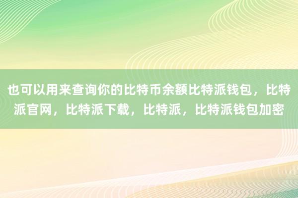 也可以用来查询你的比特币余额比特派钱包，比特派官网，比特派下载，比特派，比特派钱包加密