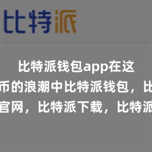 比特派钱包app在这个数字货币的浪潮中比特派钱包，比特派官网，比特派下载，比特派，比特派钱包加密