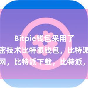 Bitpie钱包采用了多层次的加密技术比特派钱包，比特派官网，比特派下载，比特派，比特派钱包加密