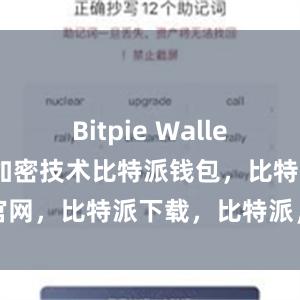 Bitpie Wallet采用了多重加密技术比特派钱包，比特派官网，比特派下载，比特派，比特派钱包加密