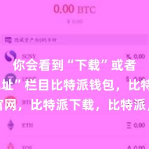 你会看到“下载”或者“下载地址”栏目比特派钱包，比特派官网，比特派下载，比特派，比特派钱包加密