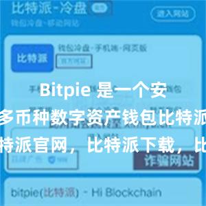 Bitpie 是一个安全、易用的多币种数字资产钱包比特派钱包，比特派官网，比特派下载，比特派，比特派钱包加密