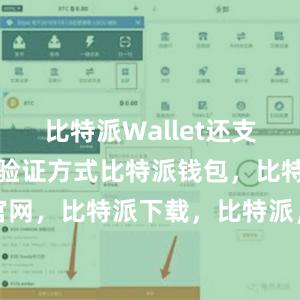 比特派Wallet还支持多种安全验证方式比特派钱包，比特派官网，比特派下载，比特派，比特派钱包加密