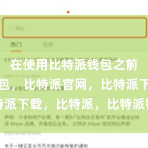 在使用比特派钱包之前比特派钱包，比特派官网，比特派下载，比特派，比特派钱包加密